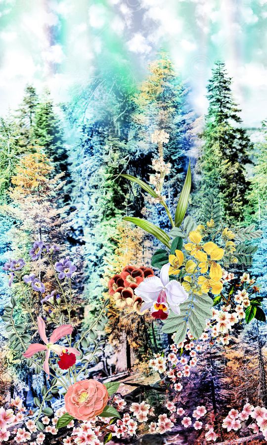 花卉印花华亿平台图片