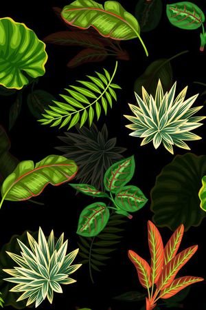 时尚印花华亿平台图片