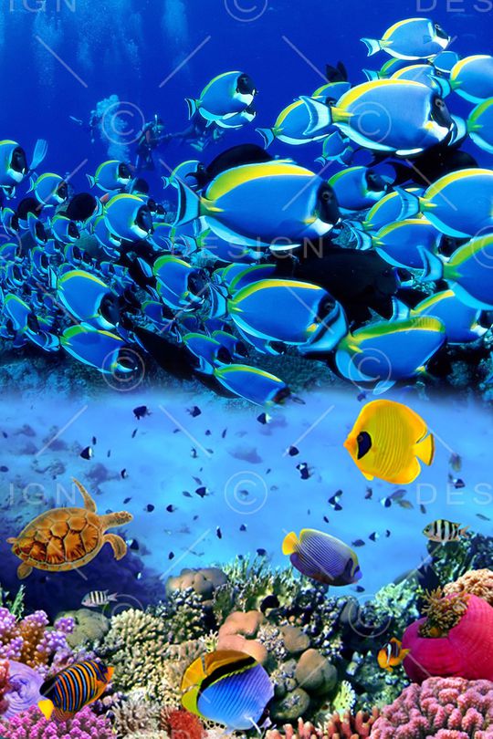 趣味印花华亿平台图片