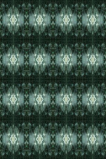 682616-160801-qt-3-1