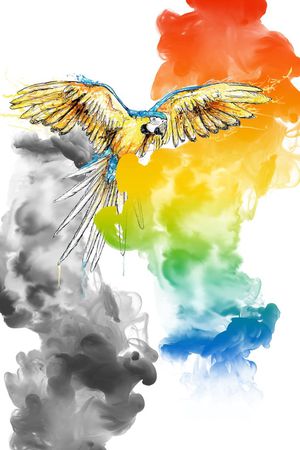 鸟印花华亿平台图片