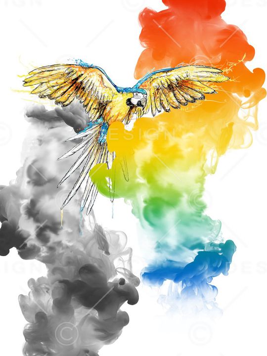 鸟印花华亿平台图片