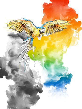 683476-fei-56756733455