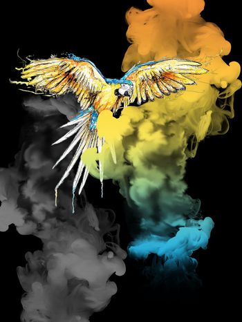 683478-fei-56756733455-1