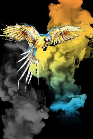 鸟印花华亿平台图片