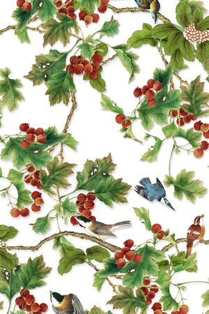 花鸟印花华亿平台图片