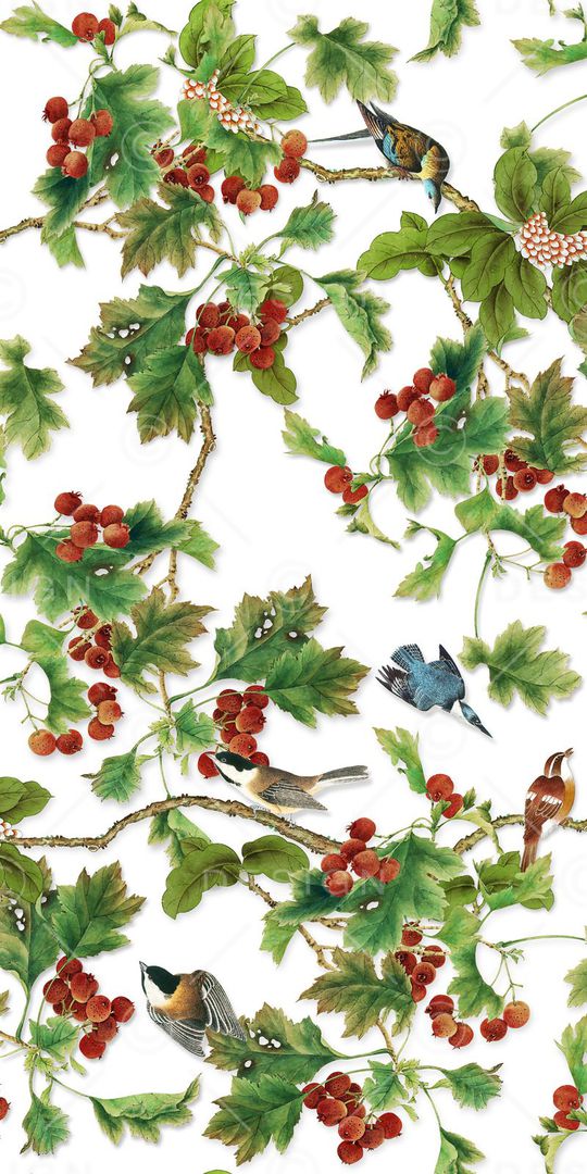 花鸟印花华亿平台图片