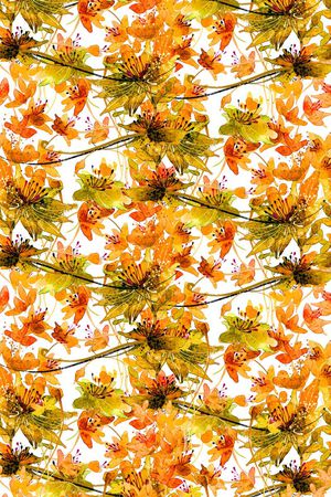 数码印花印花华亿平台图片