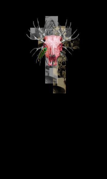 流行时尚印花华亿平台图片