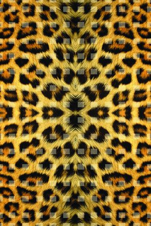 豹纹印花华亿平台图片