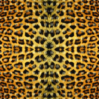 豹纹印花华亿平台图片