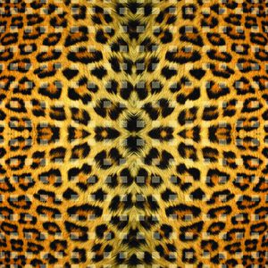 豹纹印花华亿平台图片