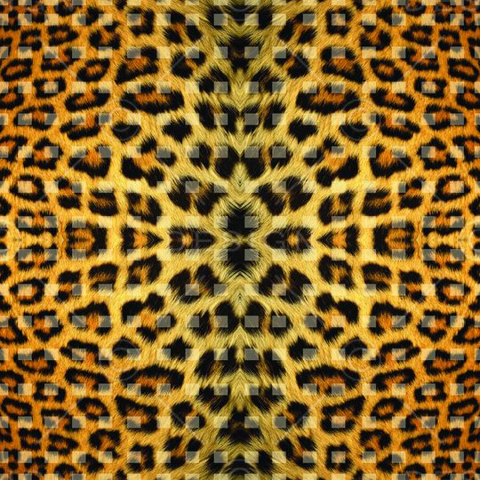 豹纹印花华亿平台图片