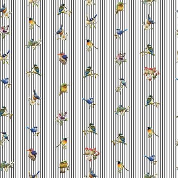 衬衫印花华亿平台图片