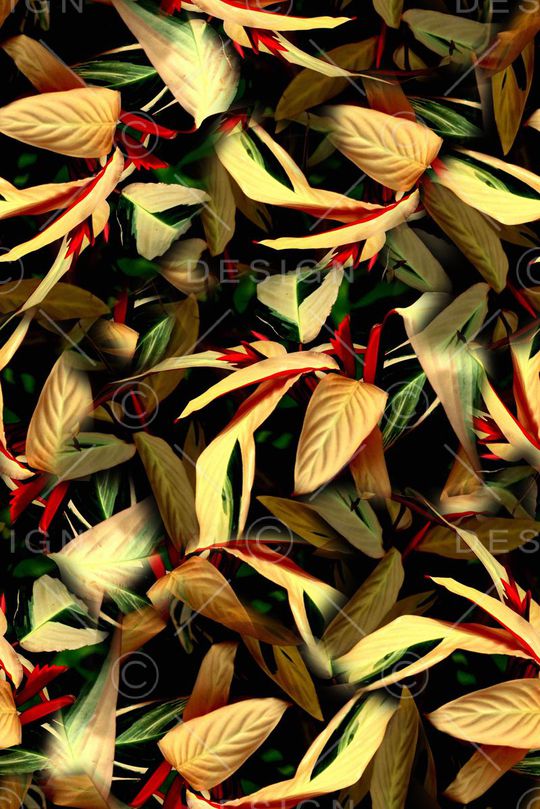 热带植物印花印花华亿平台图片