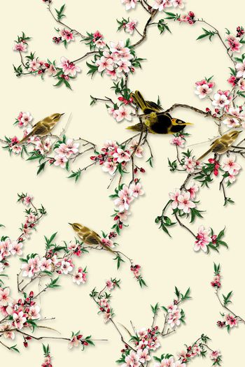 花鸟印花华亿平台图片