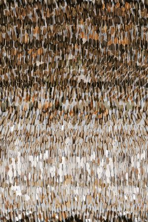 花朵印花华亿平台图片