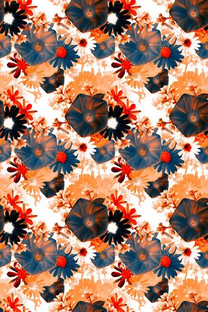 时尚花卉印花华亿平台图片