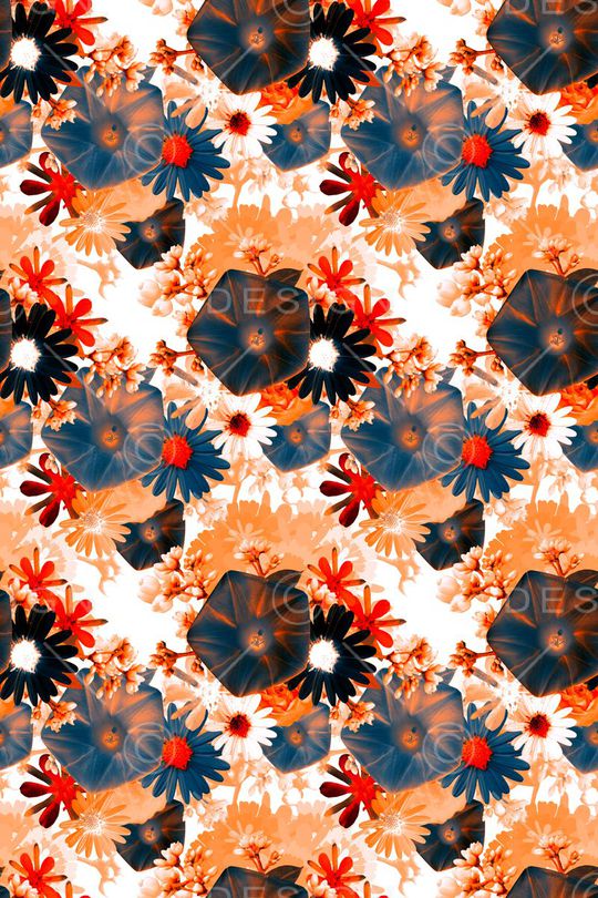 时尚花卉印花华亿平台图片