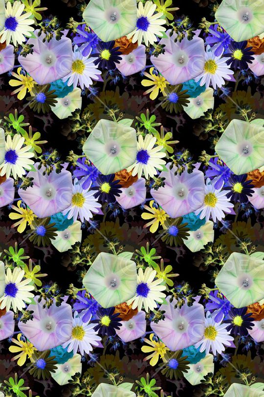 时尚花卉印花华亿平台图片