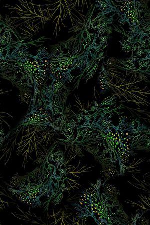 抽象印花华亿平台图片