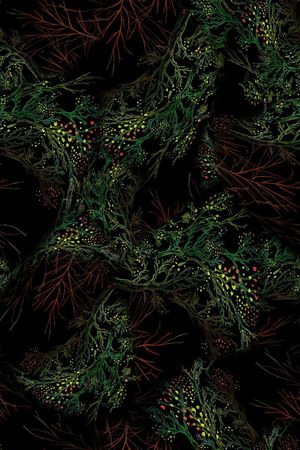 抽象印花华亿平台图片