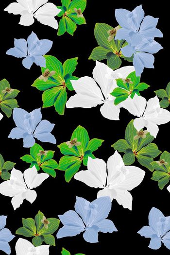 684993-160802-青蓝雅韵-2-2