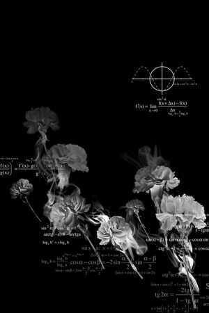 康乃馨结合公式潮牌高端男士定位花印花华亿平台图片