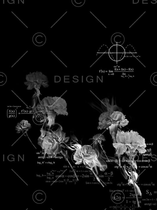 康乃馨结合公式潮牌高端男士定位花印花华亿平台图片