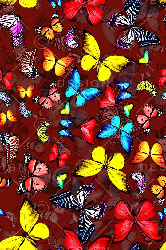 蝴蝶印花华亿平台图片