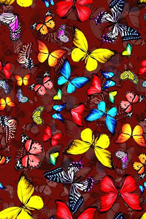 蝴蝶印花华亿平台图片