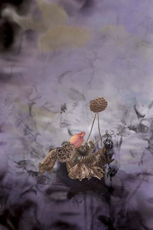 趣味印花华亿平台图片