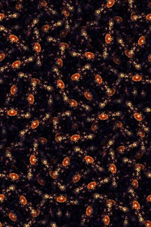 分形花印花华亿平台图片