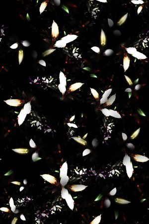 羽毛印花华亿平台图片