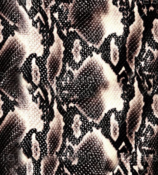 蛇皮印花华亿平台图片