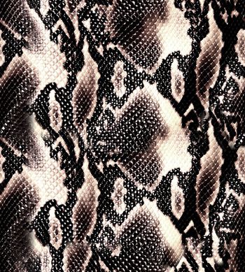 蛇皮印花华亿平台图片