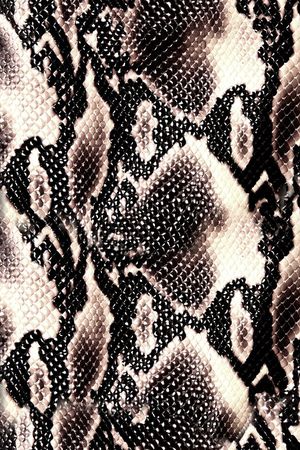 蛇皮印花华亿平台图片