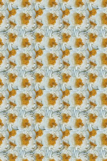 685433-160801-qt-11-1