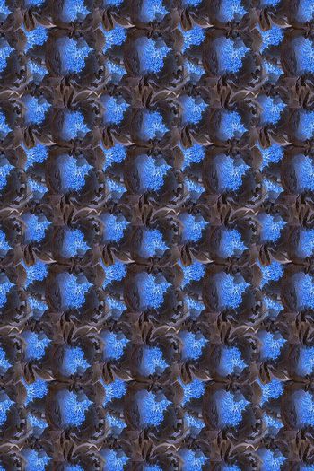 685435-160801-qt-11-3