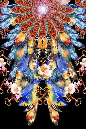 羽毛印花华亿平台图片