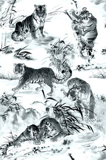 685528-fei-456456633-2