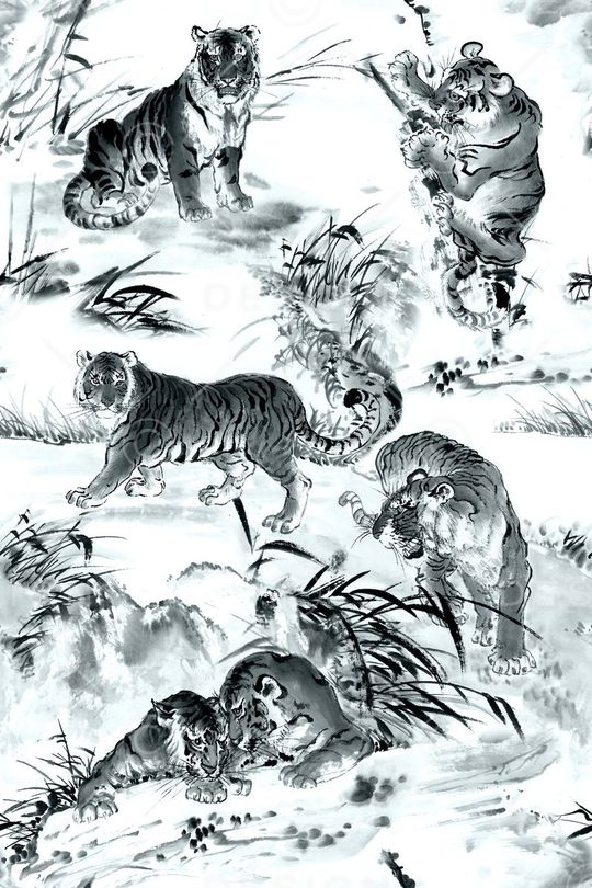 老虎印花华亿平台图片