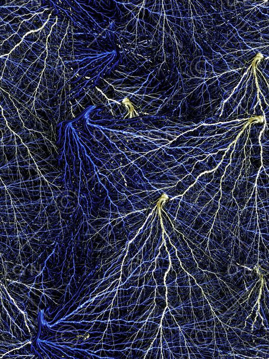 时尚男装印花华亿平台图片