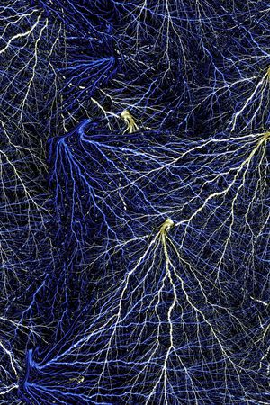 时尚男装印花华亿平台图片