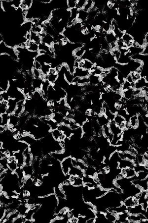 男装印花华亿平台图片