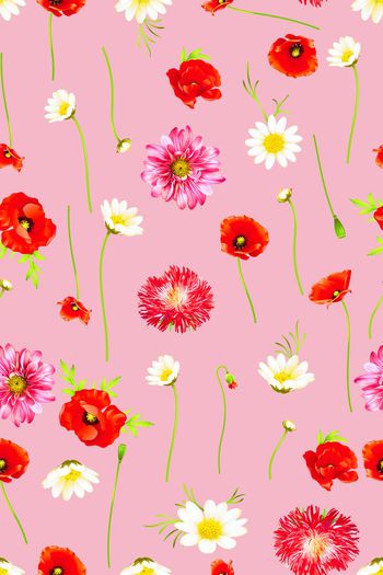 685789-水彩罂粟雏菊花朵08940b