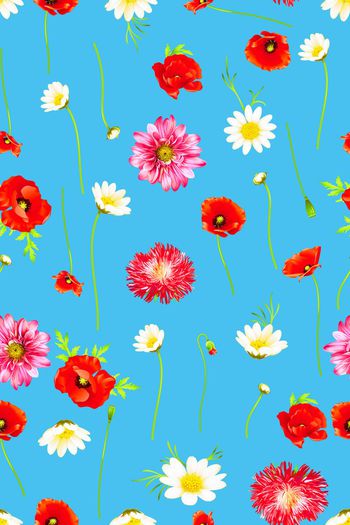 685790-水彩罂粟雏菊花朵08940c