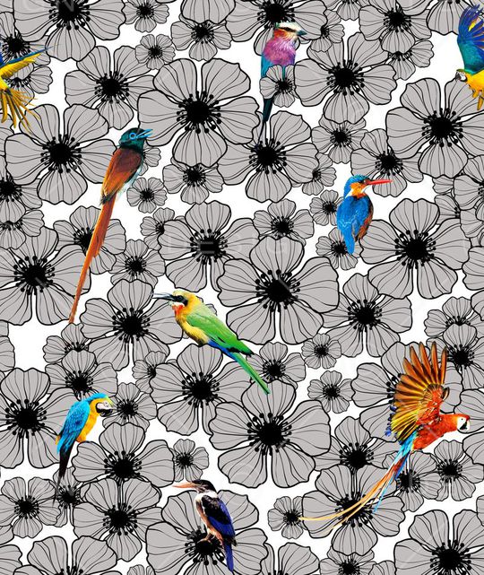 Fei-动物世界印花华亿平台图片