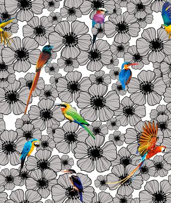 Fei-动物世界印花华亿平台图片