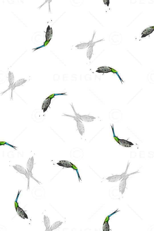 商务休闲印花华亿平台图片